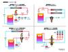 Installation System Diagram